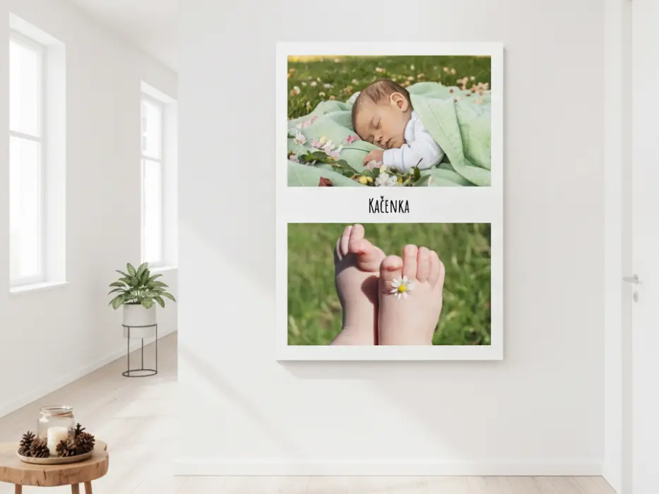 Foto obraz z vlastní fotky. Tisk na kvalitní plátno. - Koláž univerzální