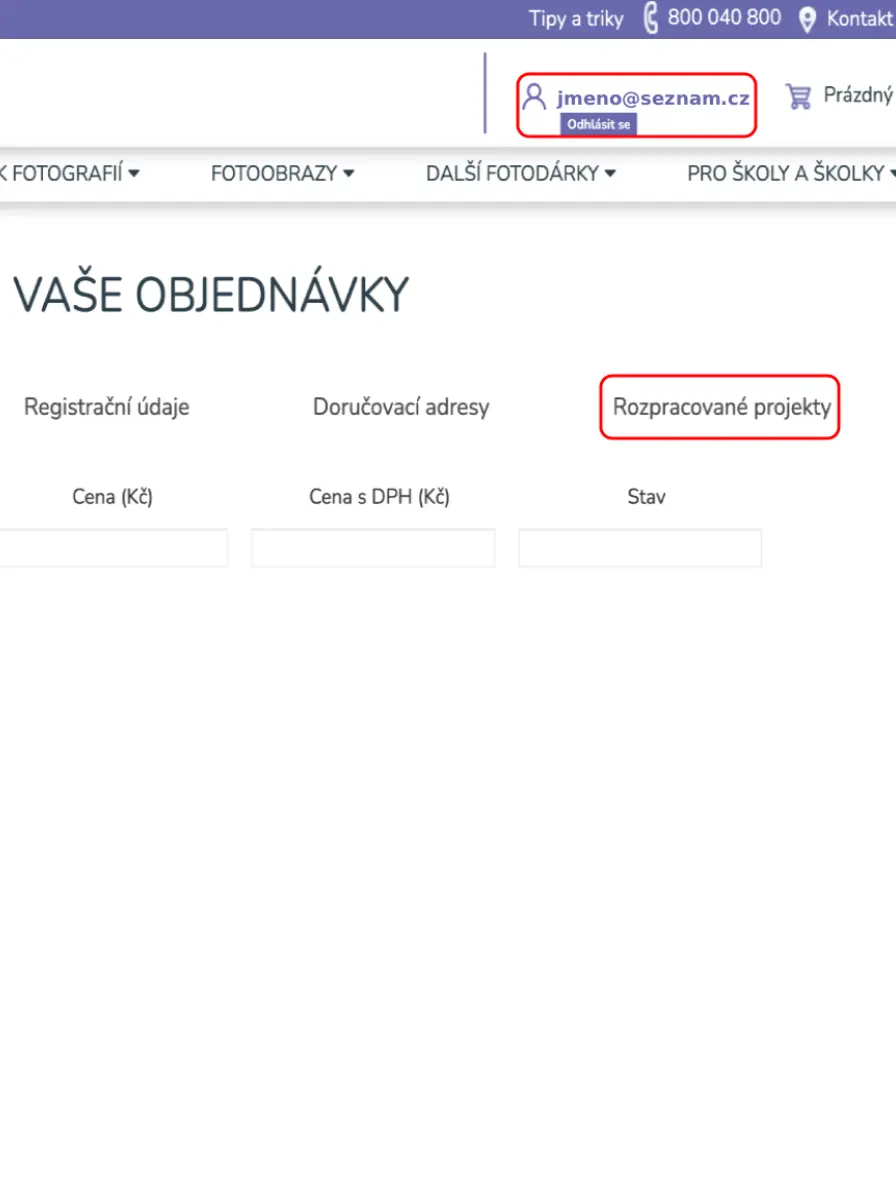 Přehled rozpracovaných projektů