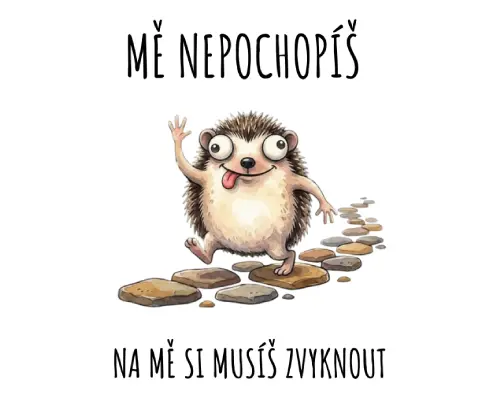 Mě nepochopíš detail trička