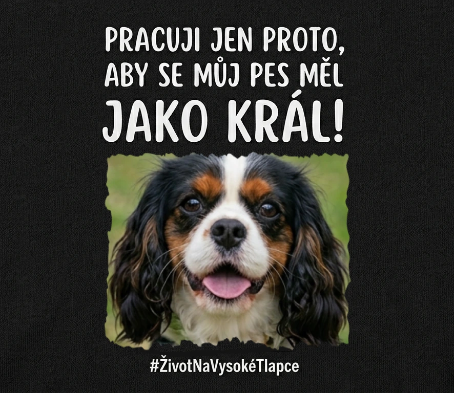 černé tričko s vtipným nápisem